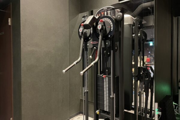 PANATTAスタンディングマルチフライの解説